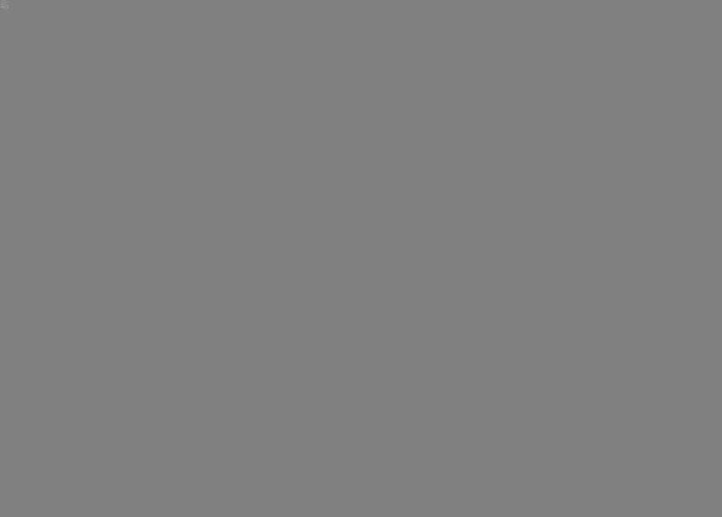Aratextil moshat pamutsznyeg - 120x160cm narancssrga kutya az erdben