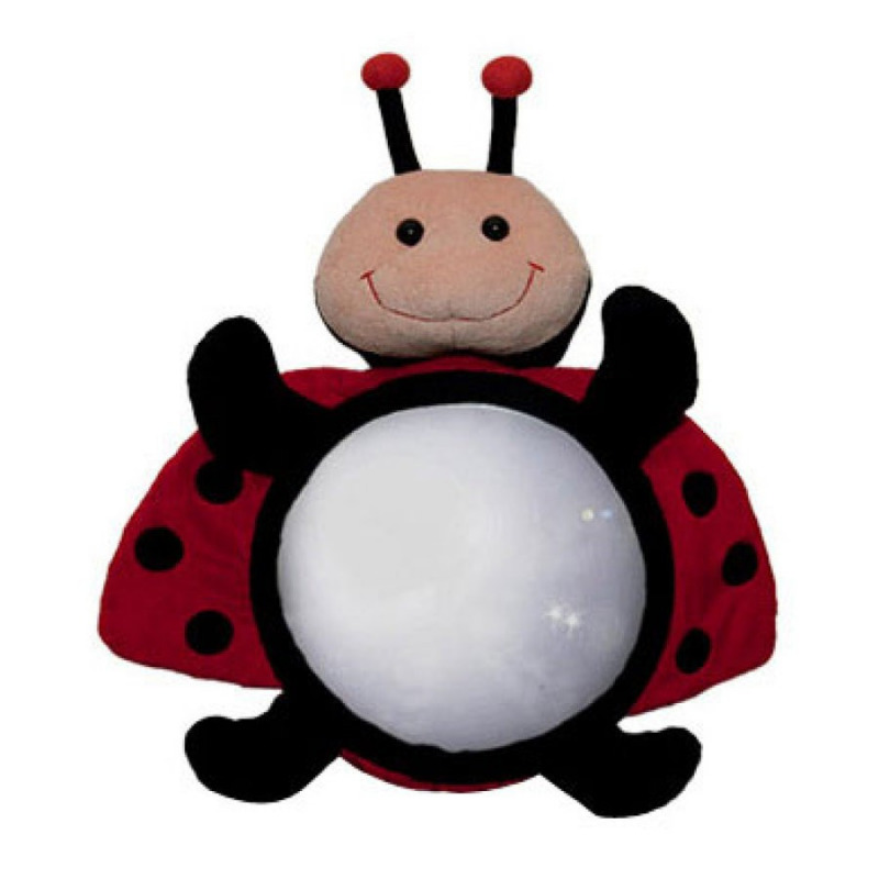 Miyali Luca aut�s-g�mbt�k�r - katica