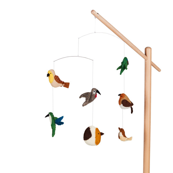 Quax jtkszett llvnyhoz - Birds