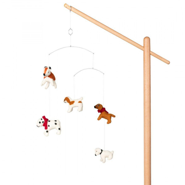 Quax j�t�kszett �llv�nyhoz - Dogs