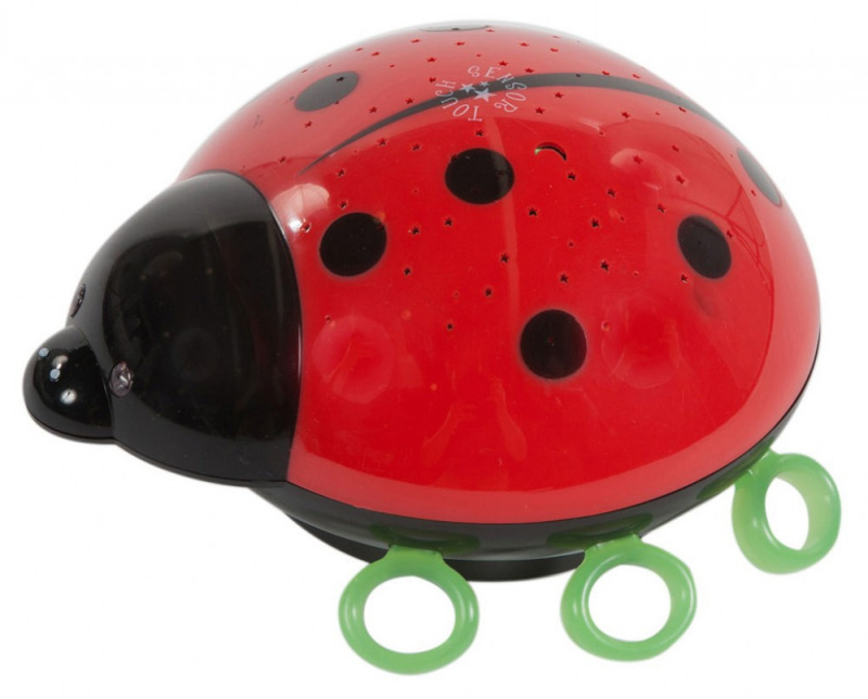 Quax �jszakai f�ny - katicabog�r