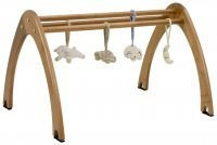 Cariboo Activity Gym - Rimu 1