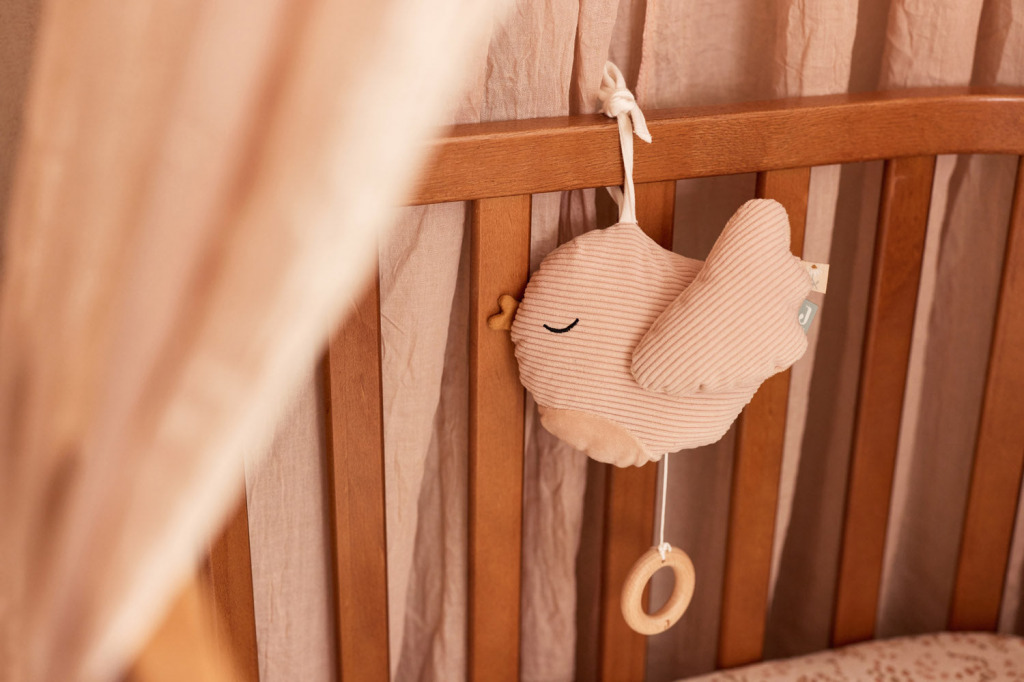 Jollein zen�l� j�t�k  3